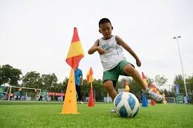 鲁能中卫位置或迎强援