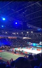 原神兔叽的跳跳树屋茸茸城堡大喵险第二天攻略